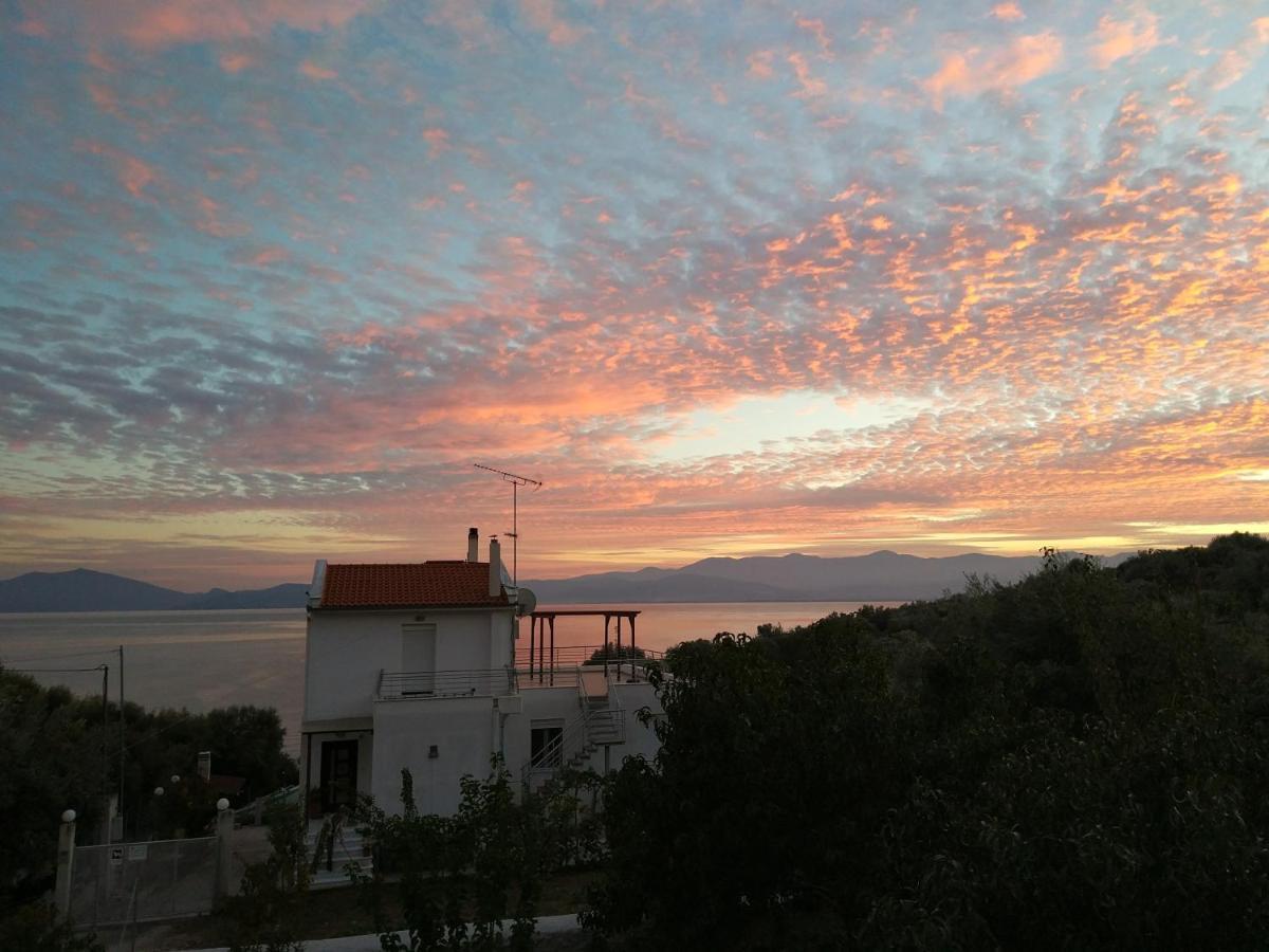 Seaside Boutique Villa Vólosz Kültér fotó