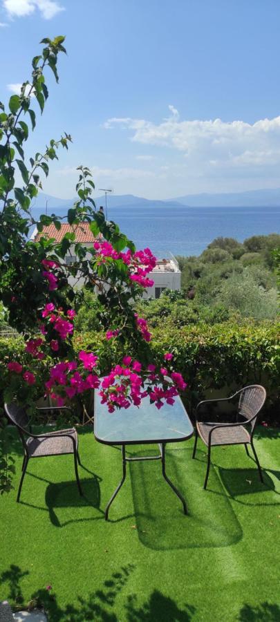 Seaside Boutique Villa Vólosz Kültér fotó